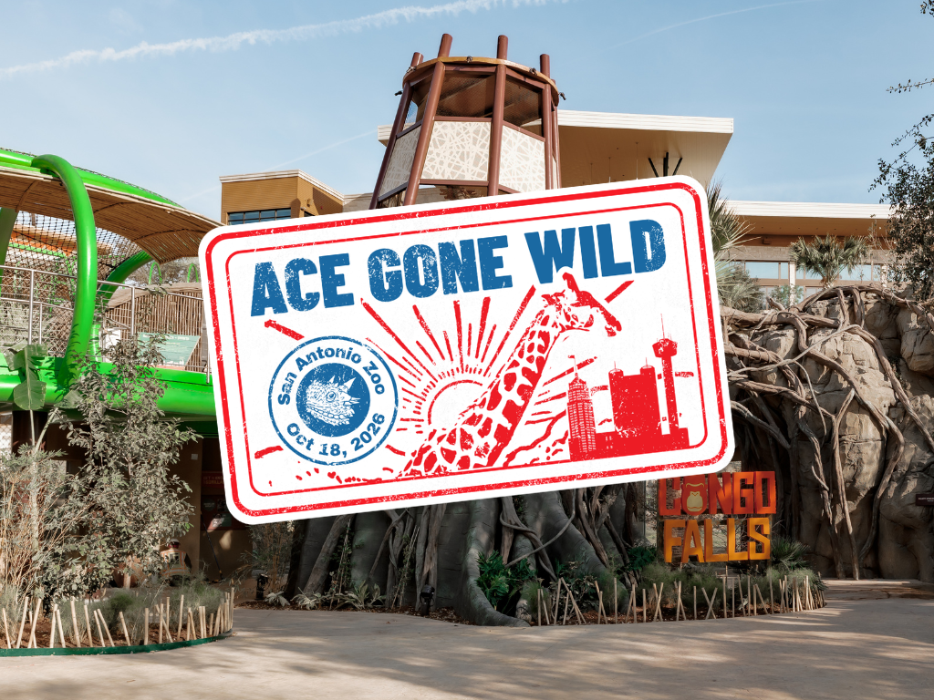 ACE Gone Wild