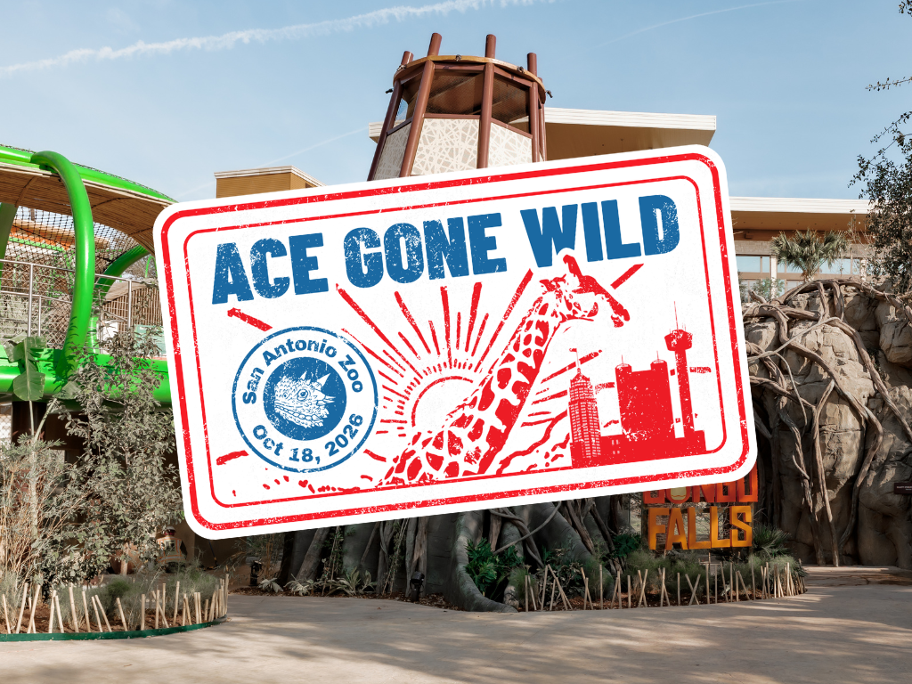 ACE Gone Wild